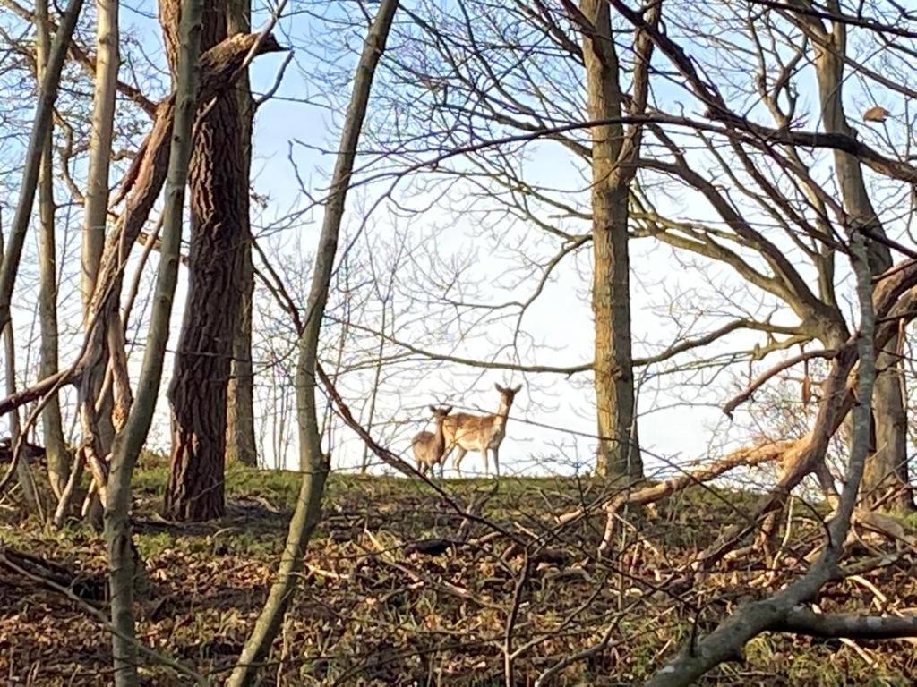 Overnachten In Zeeland Burgh-Haamstede Zewnętrze zdjęcie